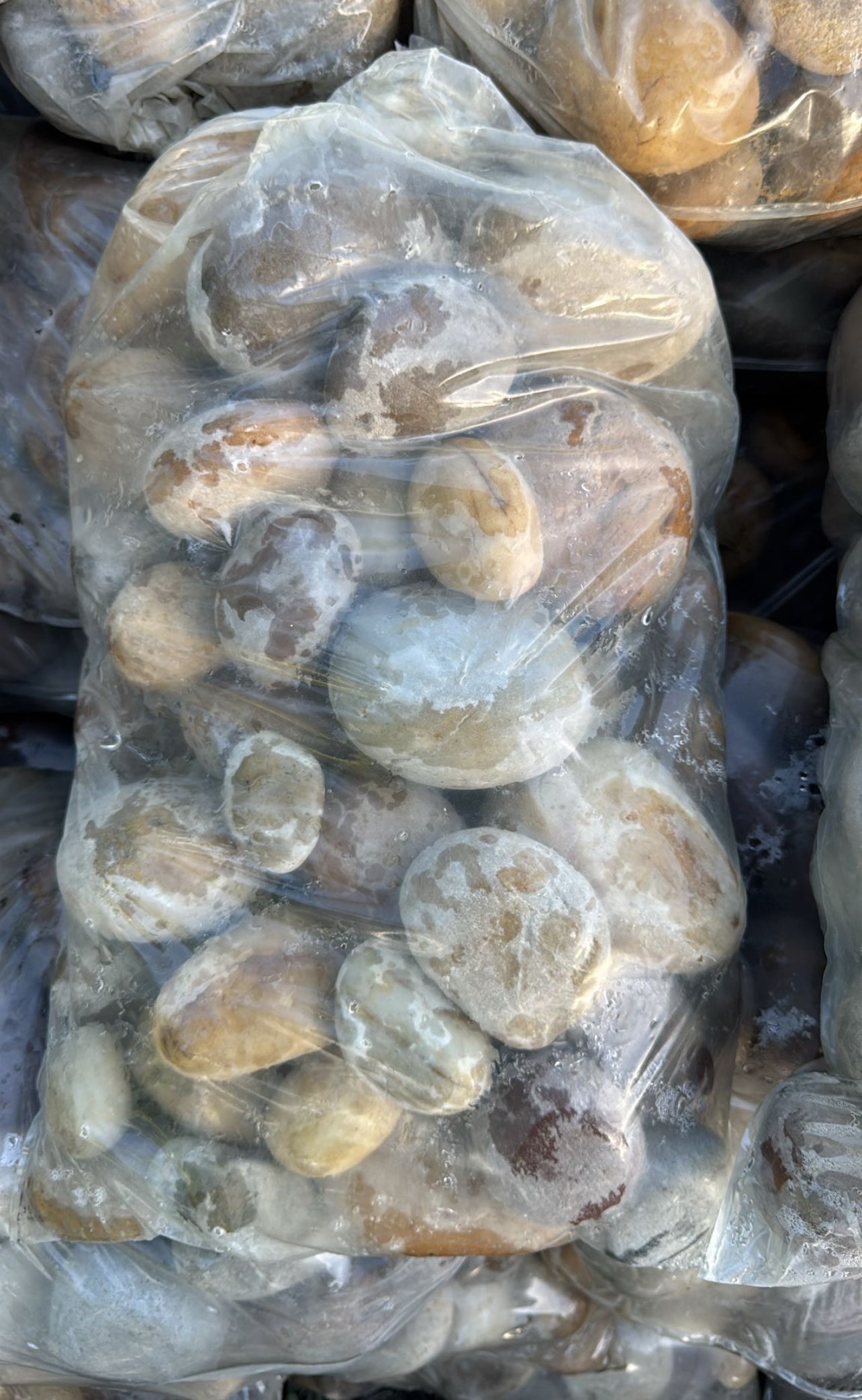 Vibrant, decorative stones that feature a beautiful mix of colors, reminiscent of the lush landscapes and diverse flora of the Amazon rainforest. These pebbles are smooth, rounded, and vary in shades, including rich greens, earthy browns, soft yellows, and hints of reds, oranges, and blues, creating a striking, natural appearance.