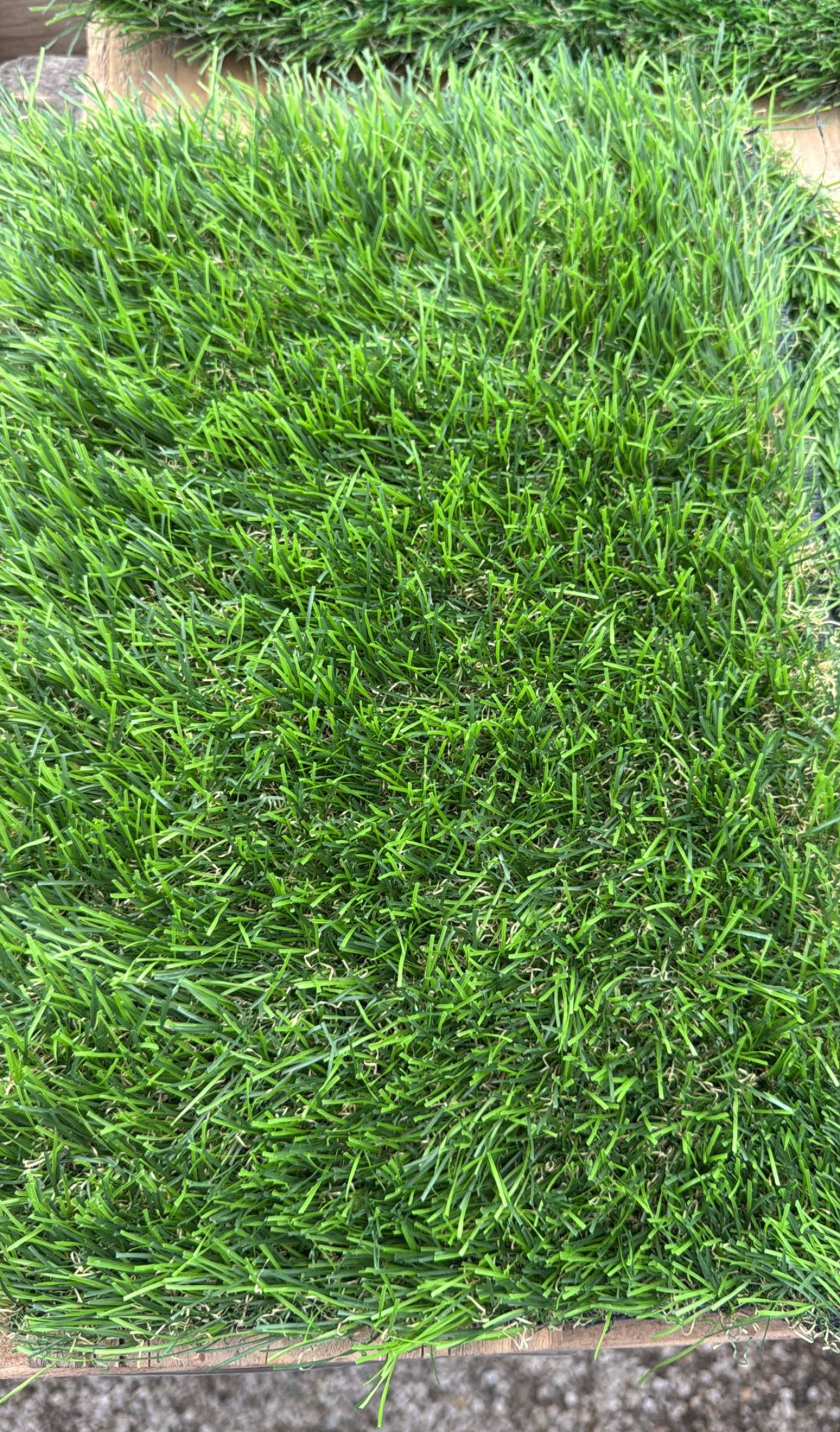 Perfect for lawns, gardens, playgrounds, and sports fields, it offers a durable and low-maintenance solution that remains beautiful and lush all year round. Its soft, resilient fibers ensure comfort underfoot while being pet-friendly and weather-resistant.
Pile height of 1.57 inches.