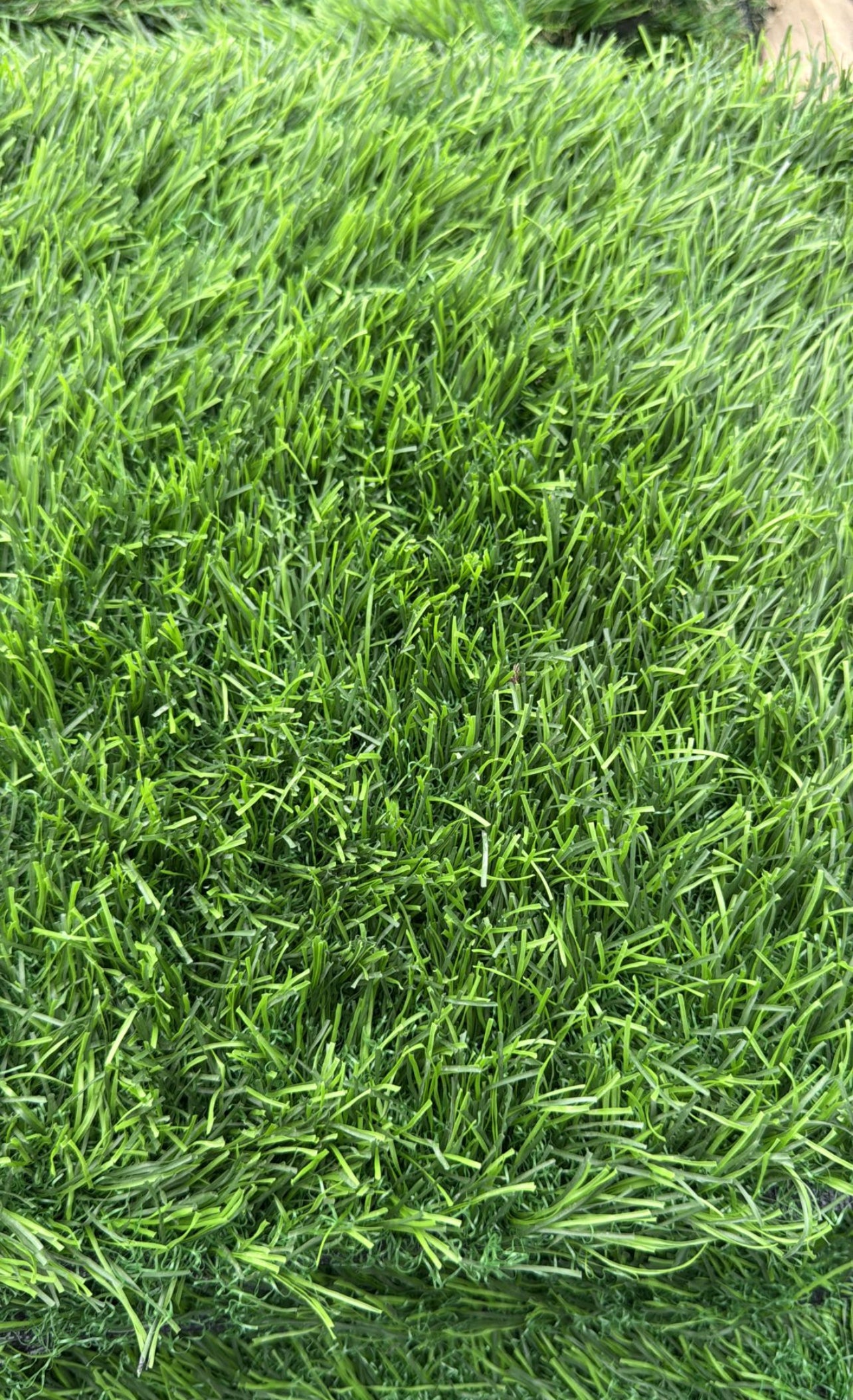 Perfect for lawns, gardens, playgrounds, and sports fields, it offers a durable and low-maintenance solution that remains beautiful and lush all year round. Its soft, resilient fibers ensure comfort underfoot while being pet-friendly and weather-resistant.