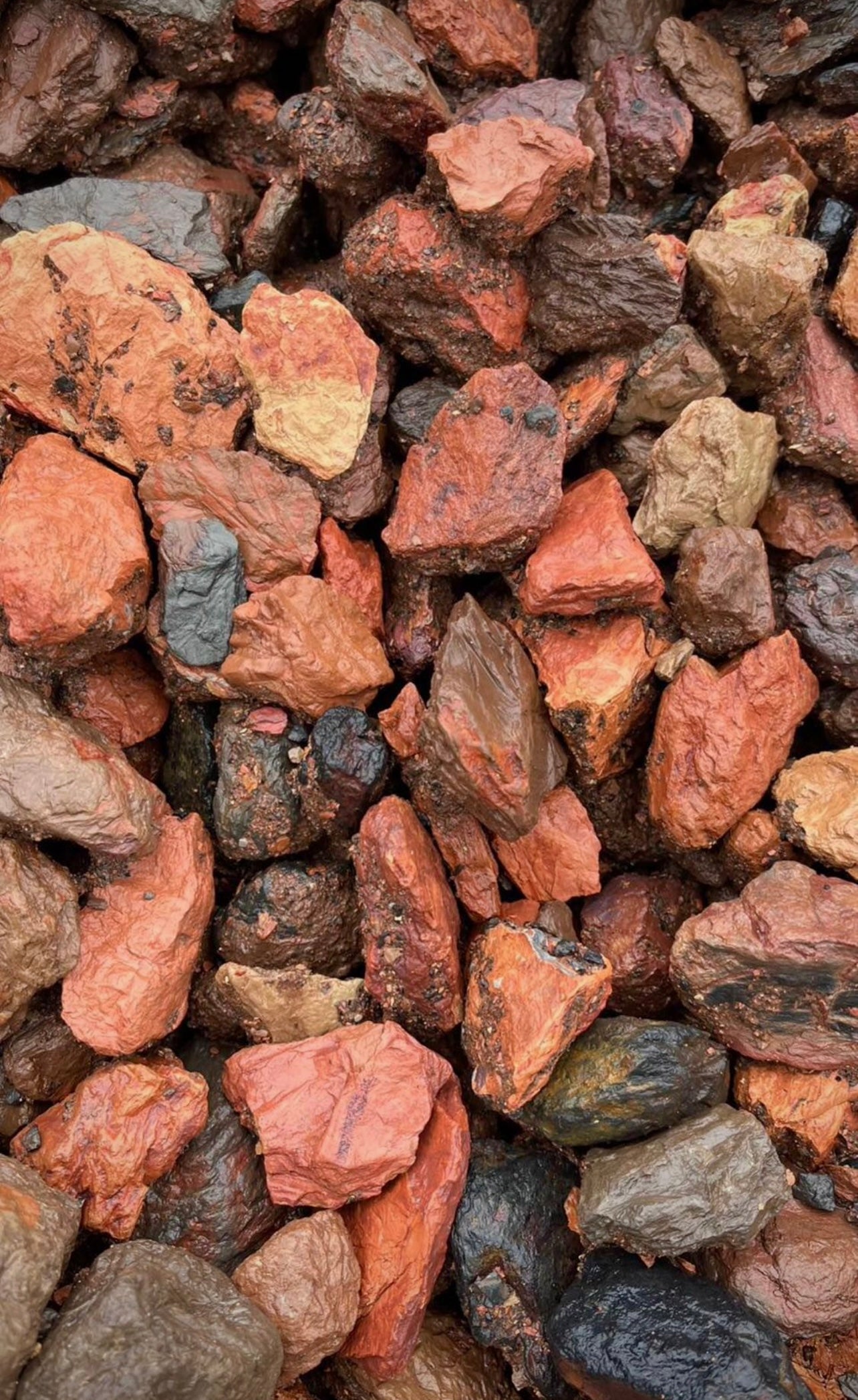 Bring warmth and visual interest to your outdoor space with Crimson Red Rock, a decorative ground cover that adds bold color and durable nature. Ideal for gardens, pathways, and as a mulch alternative, these durable rock chips offer a unique and attractive look with minimal maintenance.