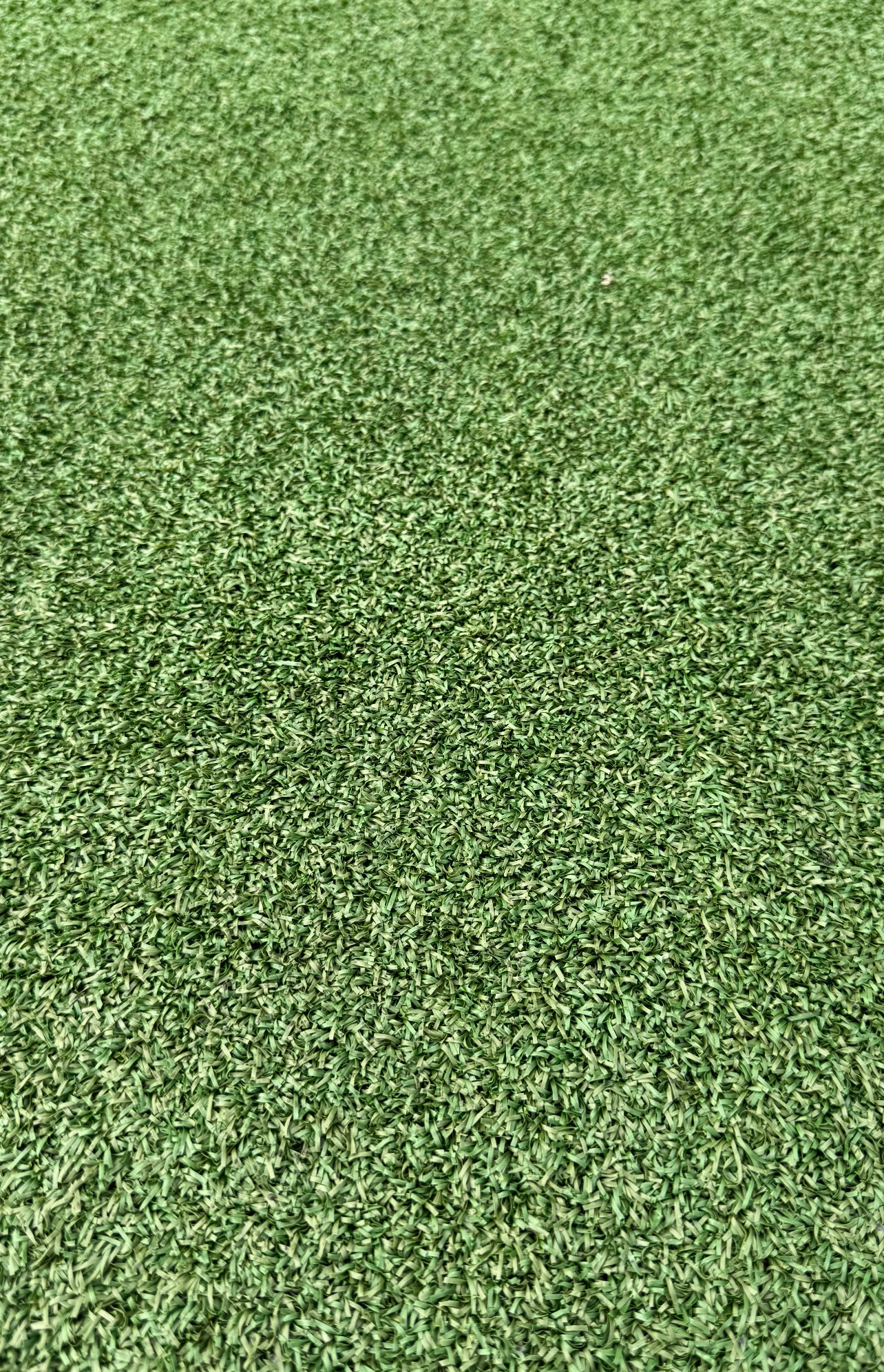 Perfectly suited for putting greens, golf simulators, and driving ranges, this turf delivers a realistic, professional feel that mimics natural grass. Crafted for durability, UV resistance, and low maintenance, it’s the ideal choice for year-round use and consistent practice with minimal effort.
Pile height of 0.98 inches.