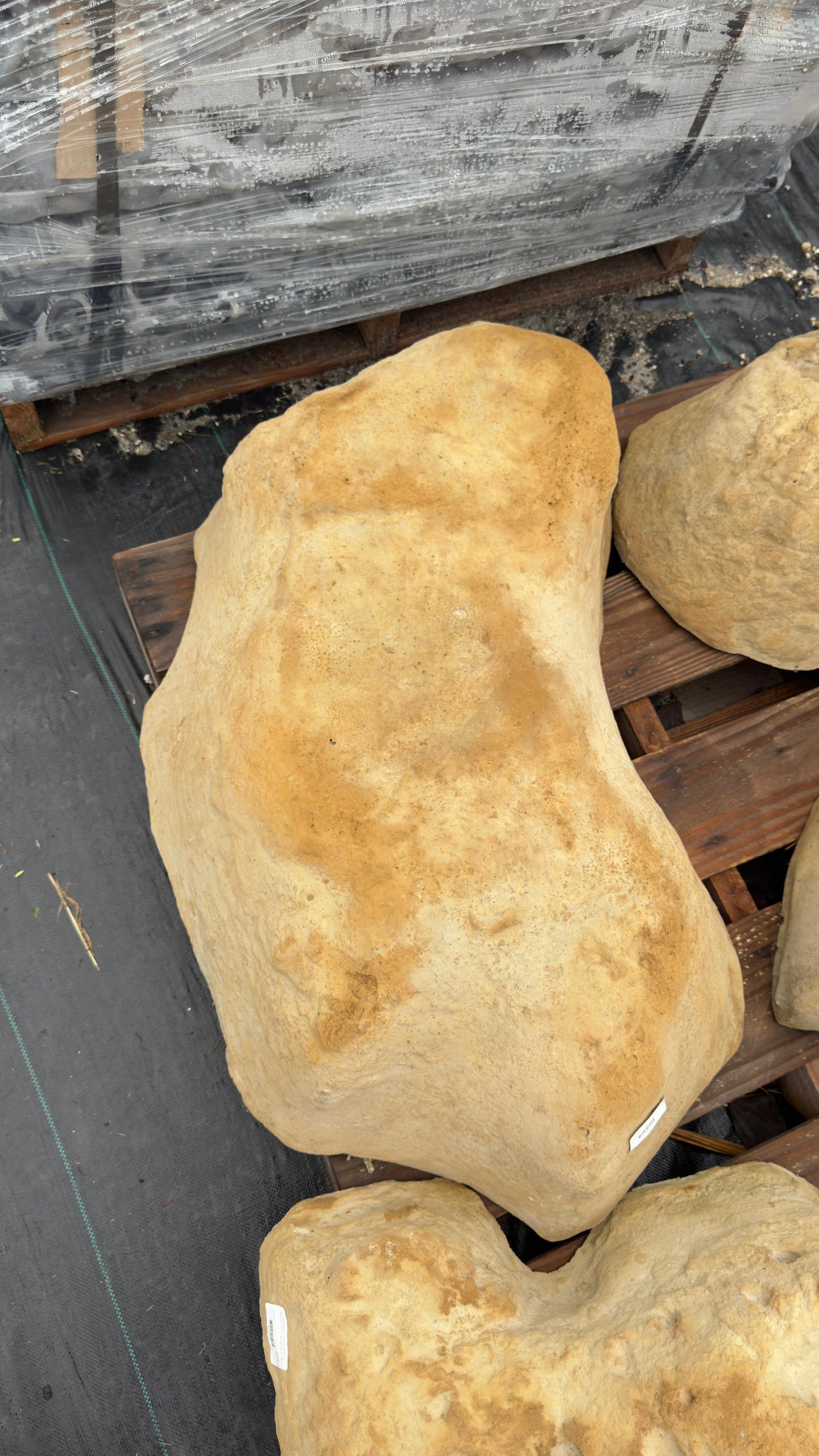 Make a strong statement with our Large Boulder perfect for anchoring your landscape design. Whether you're enhancing a tropical garden or hiding an unsightly object, this rock does it all.