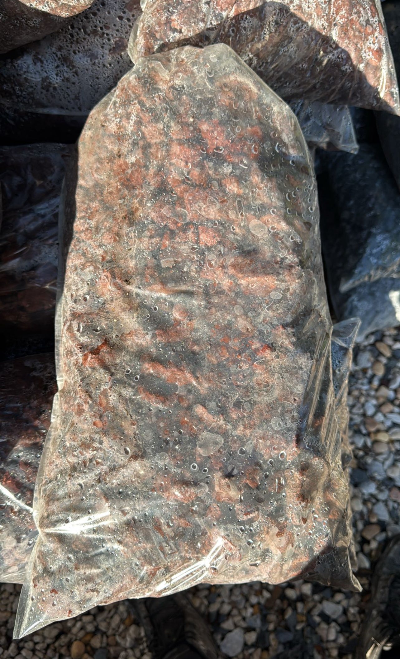 Give your landscape a unique edge with Red Lava Rock, featuring rich, natural red tones that add warmth and contrast to any outdoor space. Known for its porous, lightweight structure, this rock is a versatile choice for decorative ground cover, moisture retention, and erosion control. 