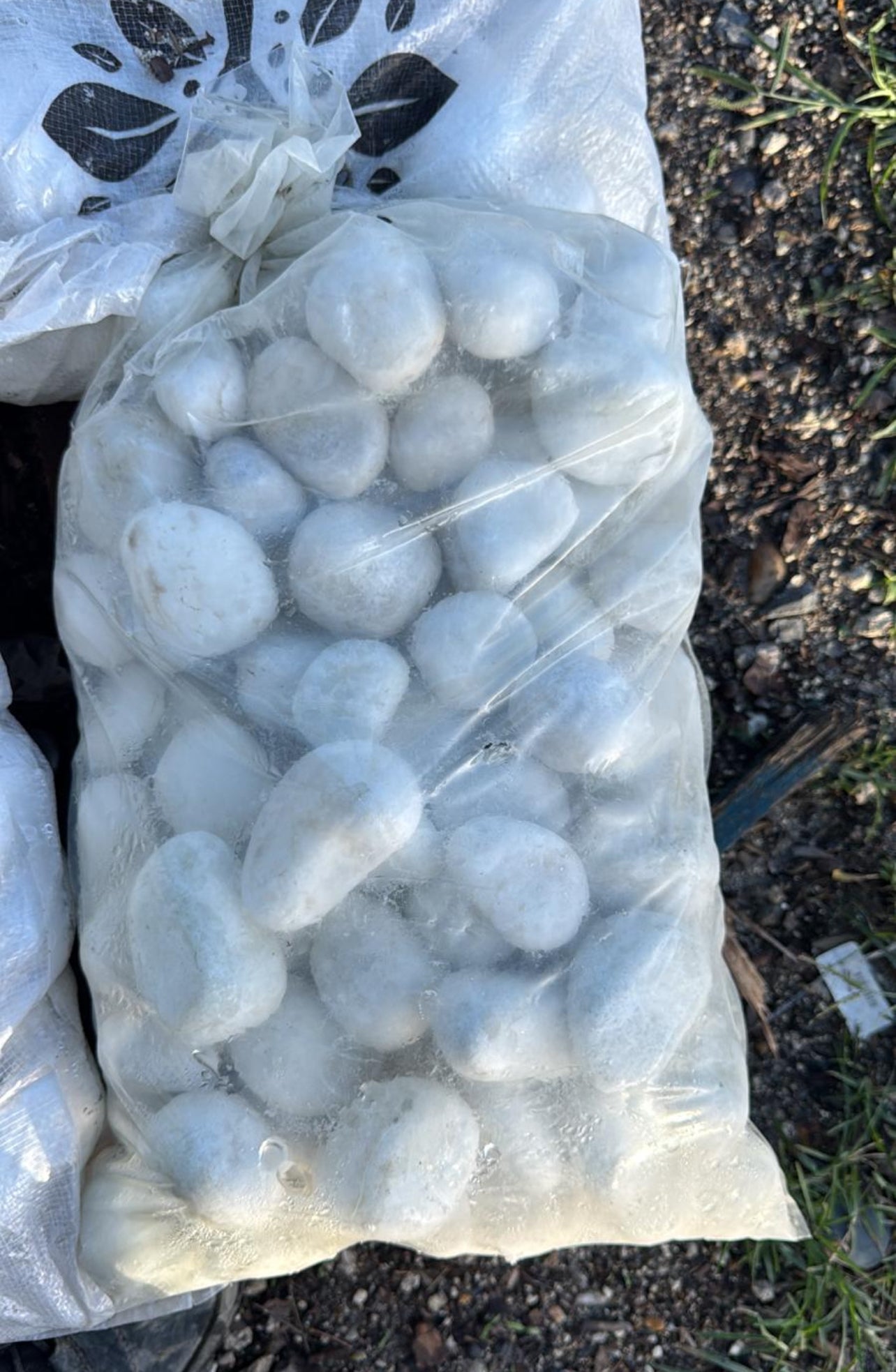 These smooth white stones are perfect for adding a clean, elegant look to any garden, pathway, or water feature. Their bright color provides a stunning contrast to greenery and flowers, making them ideal for both decorative and functional landscaping projects.
