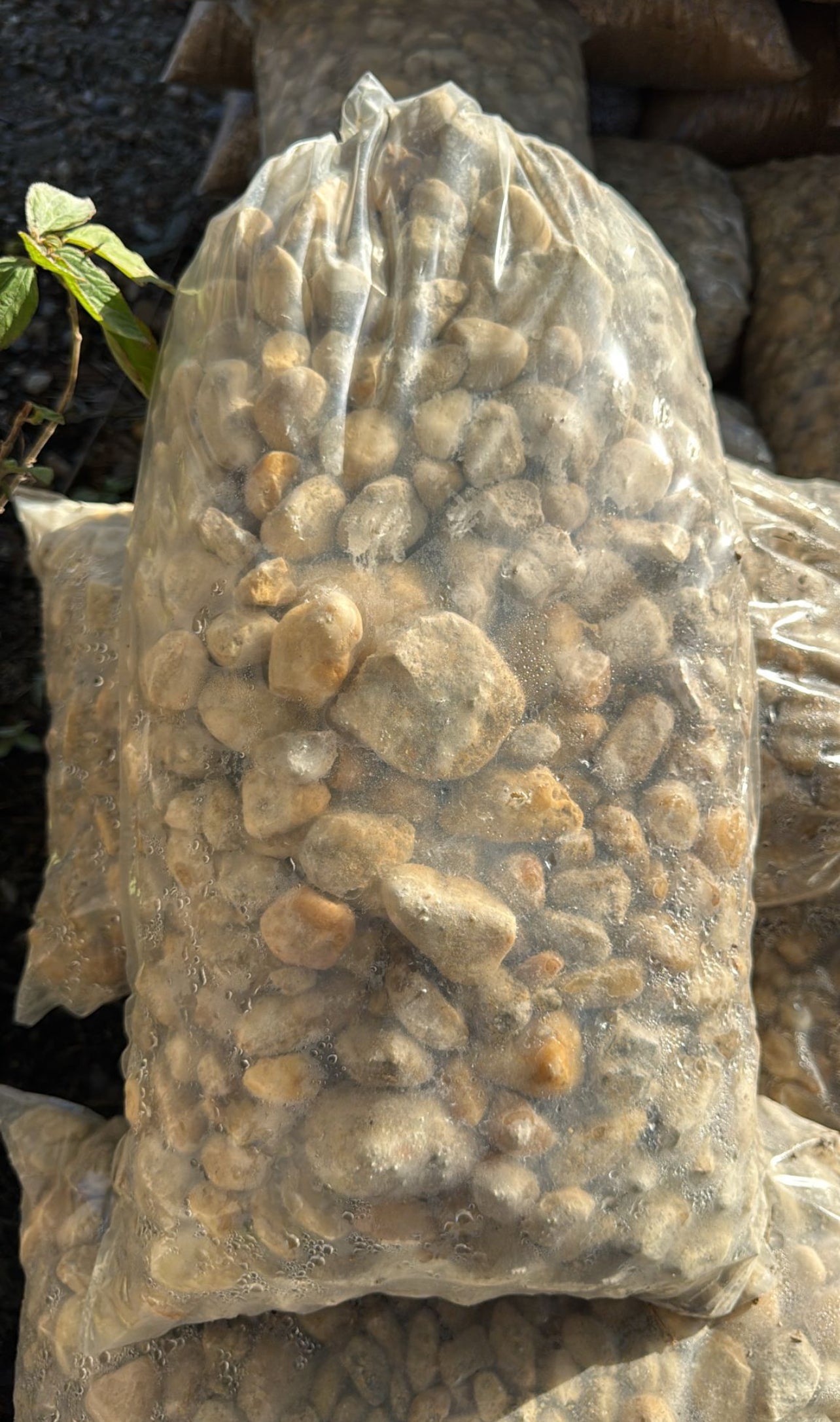 Bring a clean, polished look to your outdoor space with our smooth, rounded White River Rock. These stones are ideal for creating a fresh, modern aesthetic in gardens, pathways, water features, and more. 
Perfect for garden beds, walkways, patios, and accenting ponds or fountains. Adds a beautiful, versatile solution for erosion control and low-maintenance ground cover.