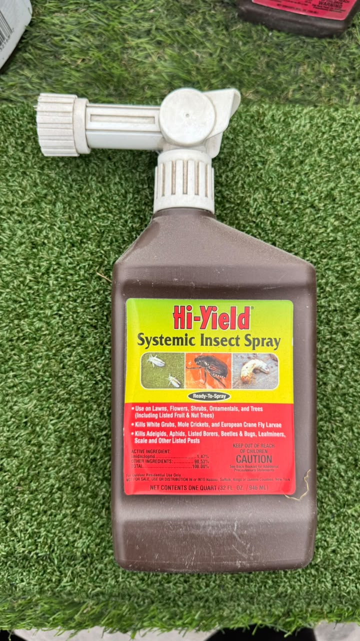 aphid beetle spray