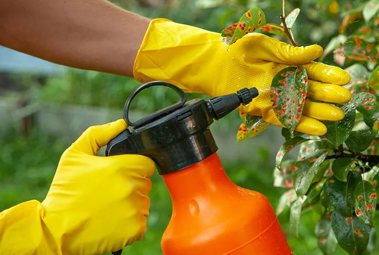 Insecticides