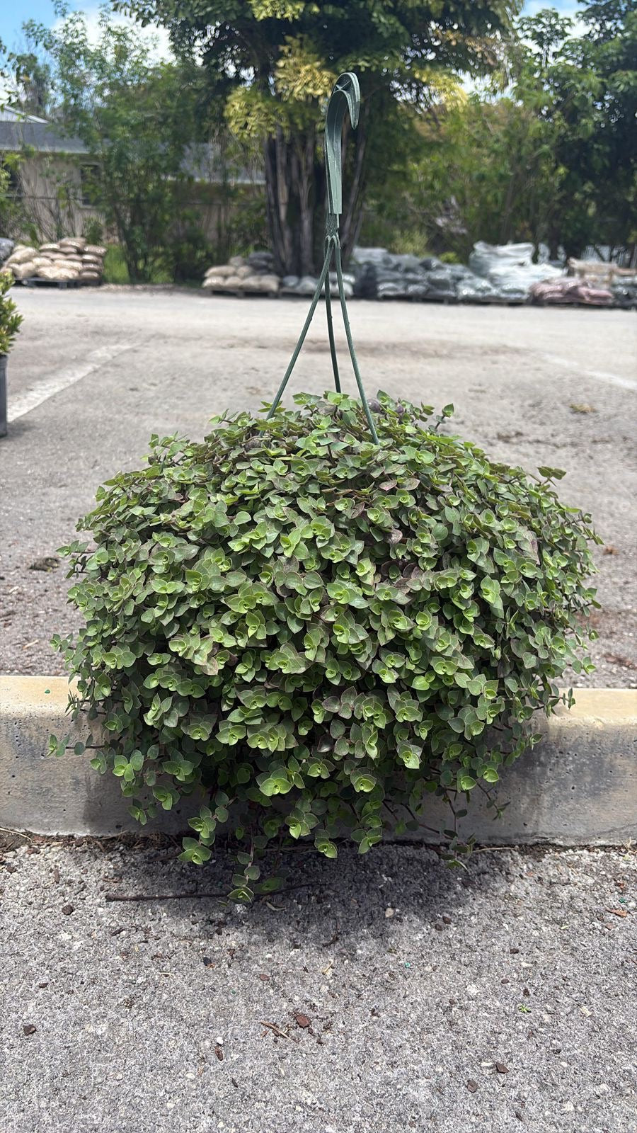 Mickey Mouse Basket