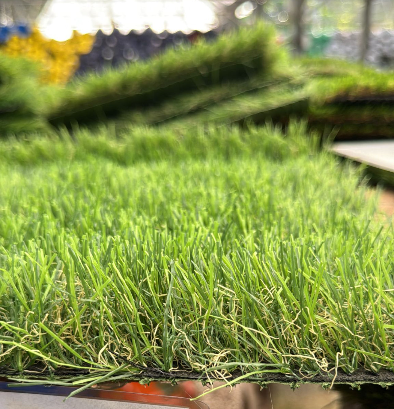 Perfect for lawns, gardens, playgrounds, and sports fields, it offers a durable and low-maintenance solution that remains beautiful and lush all year round. Its soft, resilient fibers ensure comfort underfoot while being pet-friendly and weather-resistant.  

Pile height of 1.57 inches. 